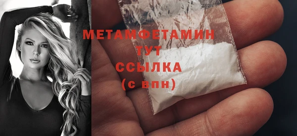 шишки Болотное