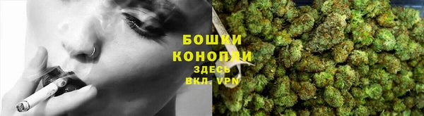 шишки Болохово
