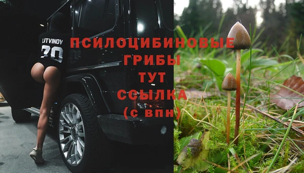 героин Няндома