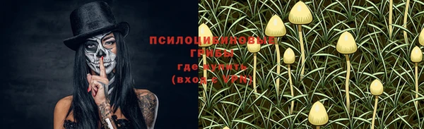 PSILOCYBIN Нязепетровск