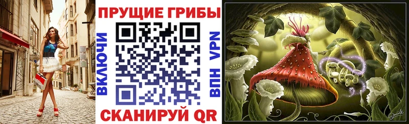 Псилоцибиновые грибы Psilocybe  OMG вход  Надым  как найти закладки 