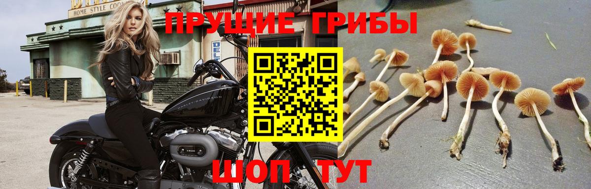 Каннабис Надым