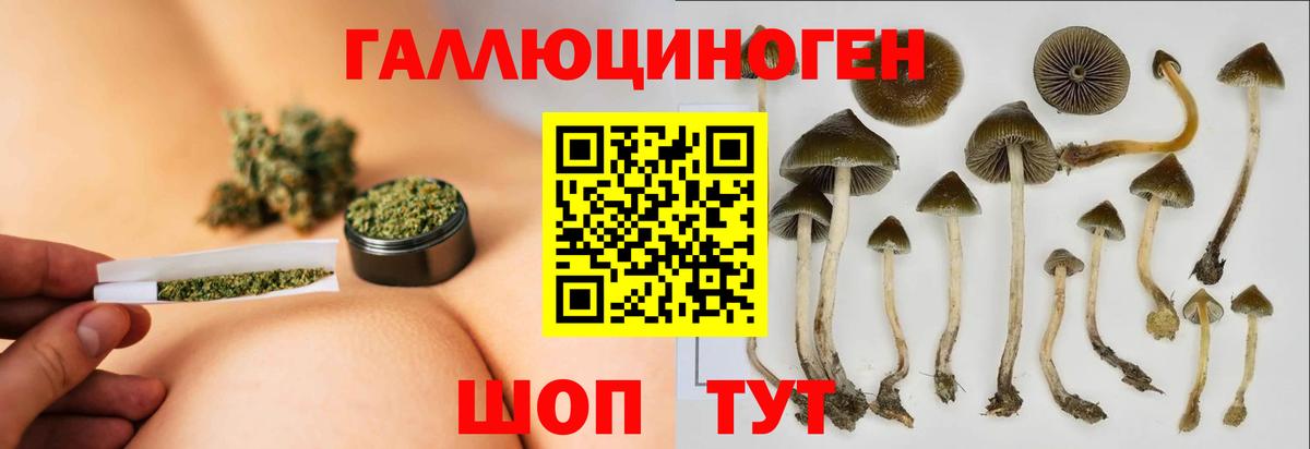 Галлюциногенные грибы Cubensis Надым